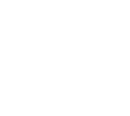 Nautess